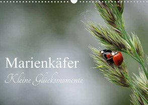 Marienkäfer – kleine Glücksmomente (Wandkalender 2023 DIN A3 quer) von Dederichs,  Karin