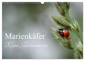 Marienkäfer – kleine Glücksmomente (Wandkalender 2024 DIN A3 quer), CALVENDO Monatskalender von Dederichs,  Karin