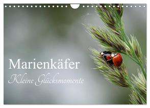 Marienkäfer – kleine Glücksmomente (Wandkalender 2024 DIN A4 quer), CALVENDO Monatskalender von Dederichs,  Karin