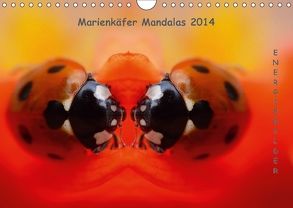 Marienkäfer Mandalas 2018 (Wandkalender 2018 DIN A4 quer) von Zänkert,  Martin