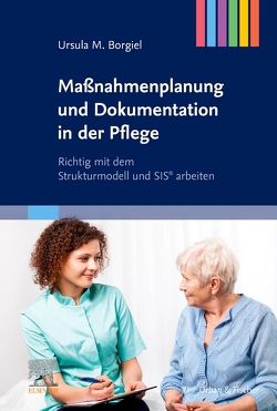 Maßnahmenplanung und Dokumentation in der Pflege von Borgiel,  Ursula M.