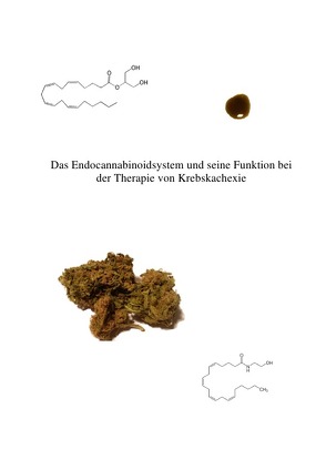 Masterthesis: Das Endocannabinoidsystem und seine Funktion bei der Therapie von Krebskachexie von Ströhlein,  Felix