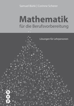 Mathematik für die Berufsvorbereitung von Bürki,  Samuel, Scherer,  Corinne