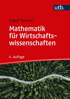 Mathematik für Wirtschaftswissenschaften von Terveer,  Ingolf