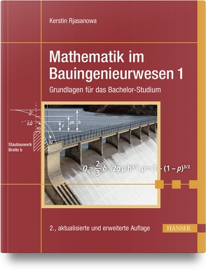 Mathematik im Bauingenieurwesen 1 von Rjasanowa,  Kerstin