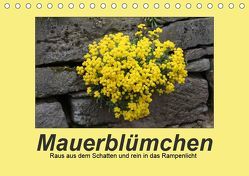 Mauerblümchen – Raus aus dem Schatten und rein in das Rampenlicht (Tischkalender 2019 DIN A5 quer) von Keller,  Angelika