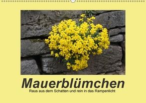 Mauerblümchen – Raus aus dem Schatten und rein in das Rampenlicht (Wandkalender 2018 DIN A2 quer) von Keller,  Angelika