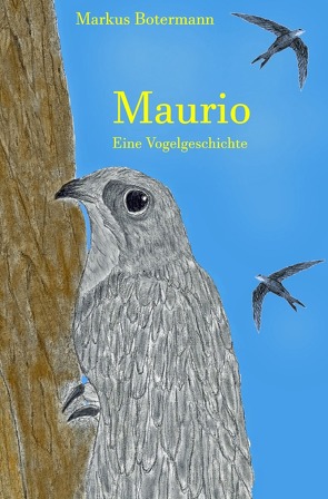 Maurio von Botermann,  Markus