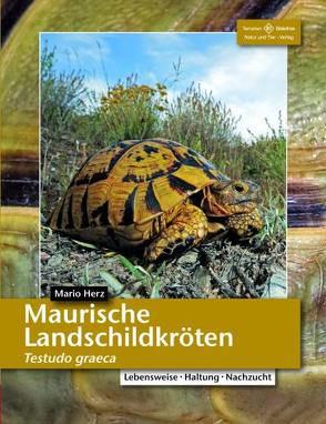 Maurische Landschildkröten von Herz,  Mario