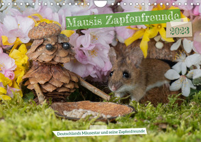 Mausis Zapfenfreunde (Wandkalender 2023 DIN A4 quer) von Hetzel,  Jennifer