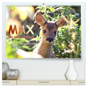 Max, der kleine Rehbock (hochwertiger Premium Wandkalender 2024 DIN A2 quer), Kunstdruck in Hochglanz von Löwer,  Sabine