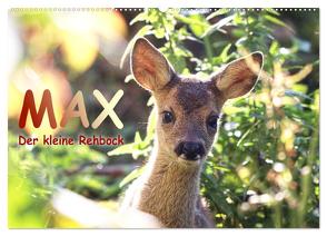 Max, der kleine Rehbock (Wandkalender 2024 DIN A2 quer), CALVENDO Monatskalender von Löwer,  Sabine