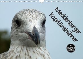 Mecklenburger Kapitänshühner (Wandkalender 2018 DIN A4 quer) von Felix,  Holger