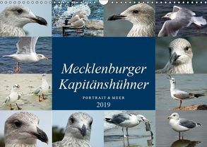 Mecklenburger Kapitänshühner (Wandkalender 2019 DIN A3 quer) von Felix,  Holger