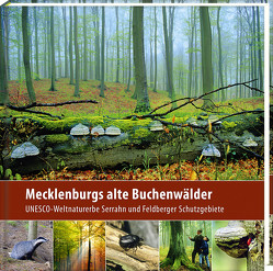 Mecklenburgs alte Buchenwälder von Borrmann,  Klaus