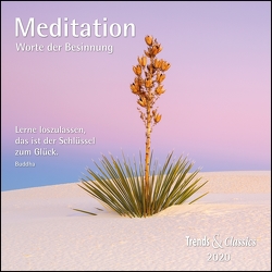 Meditation 2020 – Broschürenkalender – Wandkalender – mit herausnehmbarem Poster und Zitaten – Format 30 x 30 cm von DUMONT Kalenderverlag