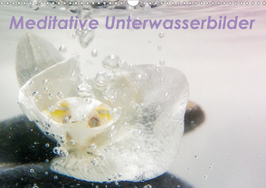 Meditative Unterwasserbilder (Wandkalender 2021 DIN A3 quer) von Brunner-Klaus,  Liselotte