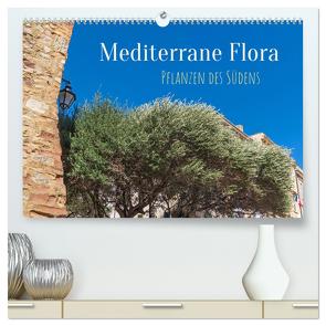 Mediterrane Flora – Pflanzen des Südens (hochwertiger Premium Wandkalender 2024 DIN A2 quer), Kunstdruck in Hochglanz von Schittenhelm,  Elisabeth