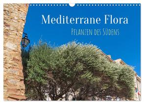 Mediterrane Flora – Pflanzen des Südens (Wandkalender 2024 DIN A3 quer), CALVENDO Monatskalender von Schittenhelm,  Elisabeth