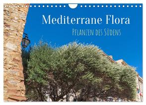 Mediterrane Flora – Pflanzen des Südens (Wandkalender 2024 DIN A4 quer), CALVENDO Monatskalender von Schittenhelm,  Elisabeth