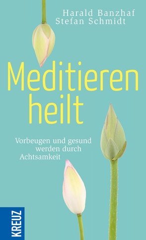 Meditieren heilt von Banzhaf,  Harald, Schmidt,  Stefan