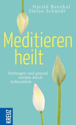 Meditieren heilt von Banzhaf,  Harald, Bauer,  Joachim, Schmidt,  Stefan