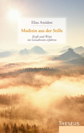 Medizin aus der Stille von Amidon,  Elias, Seipel,  Gunther