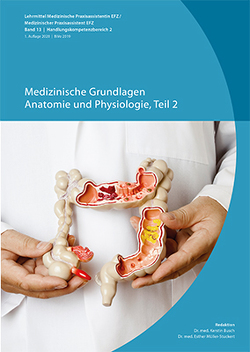 Medizinische Grundlagen, Anatomie und Physiologie Teil 2 von Busch,  Kerstin, Mueller,  Esther