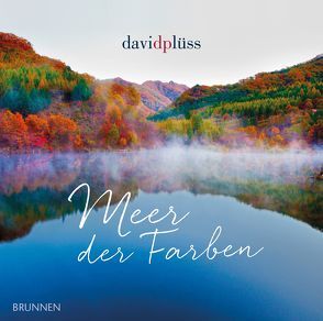 Meer der Farben von Plüss,  David