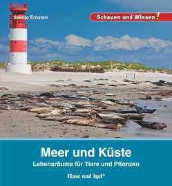 Meer und Küste von Ernsten,  Svenja