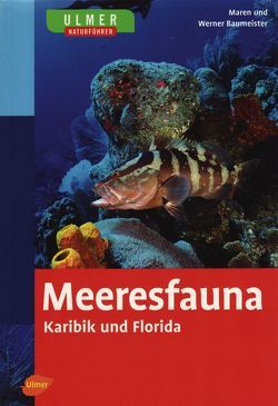 Ulmer Naturführer Meeresfauna Karibik und Florida von Baumeister,  Werner