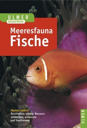 Meeresfauna Rotes Meer, Indischer Ozean (Malediven) von Göthel,  Helmut