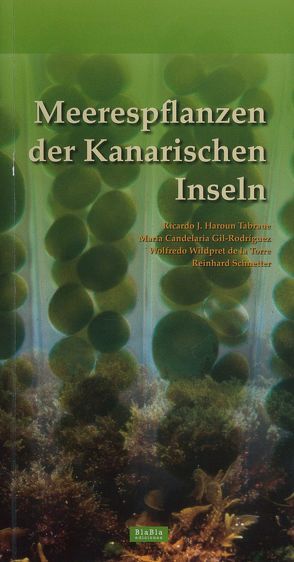 Meerespflanzen der Kanarischen Inseln von Gil-Rodriguez,  Maria Candelaria, Schnetter,  Reinhard, Tabraue,  Ricardo J. Haroun, Wildpret de la Torre,  Wolfredo