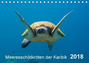 Meeresschildkröten der Karibik (Tischkalender 2018 DIN A5 quer) von - Yvonne & Tilo Kühnast,  naturepics