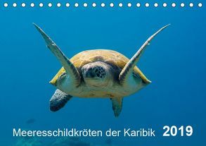 Meeresschildkröten der Karibik (Tischkalender 2019 DIN A5 quer) von - Yvonne & Tilo Kühnast,  naturepics