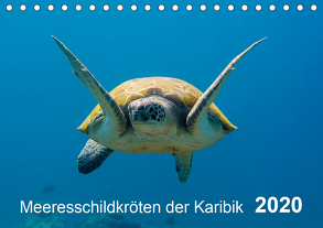 Meeresschildkröten der Karibik (Tischkalender 2020 DIN A5 quer) von - Yvonne & Tilo Kühnast,  naturepics