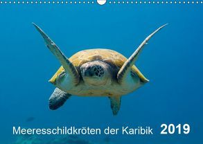 Meeresschildkröten der Karibik (Wandkalender 2019 DIN A3 quer) von - Yvonne & Tilo Kühnast,  naturepics