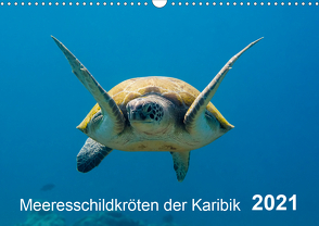 Meeresschildkröten der Karibik (Wandkalender 2021 DIN A3 quer) von - Yvonne & Tilo Kühnast,  naturepics