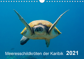 Meeresschildkröten der Karibik (Wandkalender 2021 DIN A4 quer) von - Yvonne & Tilo Kühnast,  naturepics