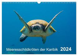 Meeresschildkröten der Karibik (Wandkalender 2024 DIN A3 quer), CALVENDO Monatskalender von - Yvonne & Tilo Kühnast,  naturepics