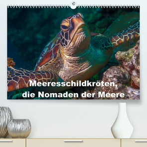 Meeresschildkröten, die Nomaden der Meere (Premium, hochwertiger DIN A2 Wandkalender 2023, Kunstdruck in Hochglanz) von Gödecke,  Dieter