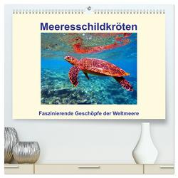 Meeresschildkröten – Faszinierende Geschöpfe der Weltmeere (hochwertiger Premium Wandkalender 2024 DIN A2 quer), Kunstdruck in Hochglanz von Hess,  Andrea