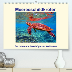 Meeresschildkröten – Faszinierende Geschöpfe der Weltmeere (Premium, hochwertiger DIN A2 Wandkalender 2022, Kunstdruck in Hochglanz) von Hess,  Andrea