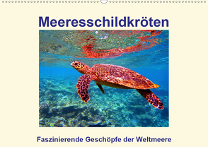 Meeresschildkröten – Faszinierende Geschöpfe der Weltmeere (Wandkalender 2021 DIN A2 quer) von Hess,  Andrea