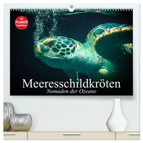 Meeresschildkröten. Nomaden der Ozeane (hochwertiger Premium Wandkalender 2024 DIN A2 quer), Kunstdruck in Hochglanz von Stanzer,  Elisabeth