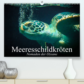 Meeresschildkröten. Nomaden der Ozeane (Premium, hochwertiger DIN A2 Wandkalender 2023, Kunstdruck in Hochglanz) von Stanzer,  Elisabeth