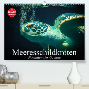 Meeresschildkröten. Nomaden der Ozeane (Premium, hochwertiger DIN A2 Wandkalender 2023, Kunstdruck in Hochglanz) von Stanzer,  Elisabeth