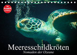 Meeresschildkröten. Nomaden der Ozeane (Tischkalender 2023 DIN A5 quer) von Stanzer,  Elisabeth