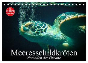 Meeresschildkröten. Nomaden der Ozeane (Tischkalender 2024 DIN A5 quer), CALVENDO Monatskalender von Stanzer,  Elisabeth