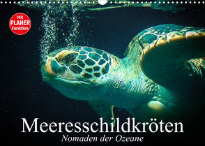 Meeresschildkröten. Nomaden der Ozeane (Wandkalender 2023 DIN A3 quer) von Stanzer,  Elisabeth